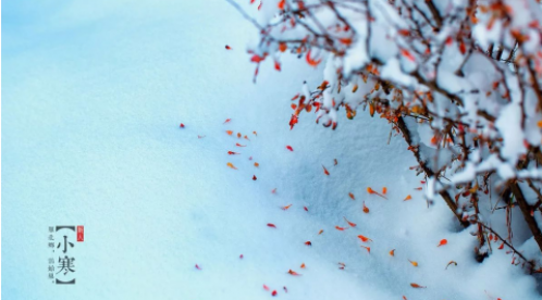 小寒|總有一束光亮，照亮寒夜的路-【易造防雷】