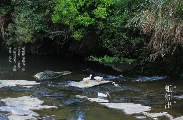 立夏六｜春光忽盡，夏木成陰【杭州易造】